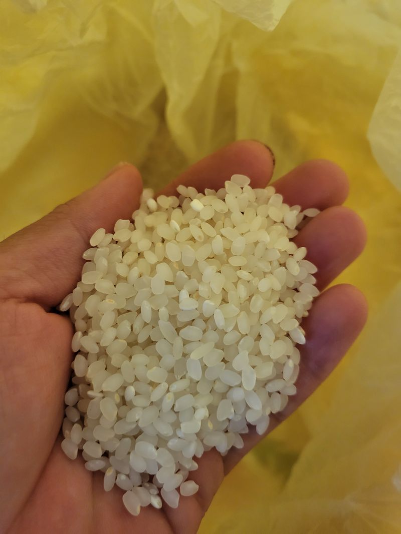 김영진(전남영광)님의 장터 판매 상품 [향미쌀 20kg 판매해요] 첨부 사진