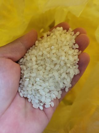 김영진(전남영광)님의 작성글 사진