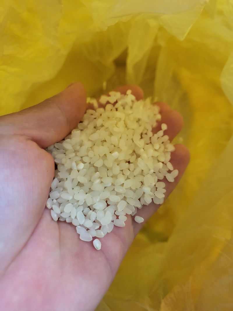 김영진(전남영광)님의 장터 판매 상품 [향미쌀 20kg 판매해요] 첨부 사진