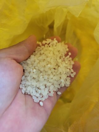 김영진(전남영광)님의 작성글 사진