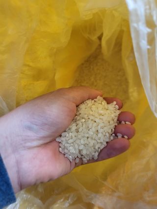 김영진(전남영광)님의 작성글 사진