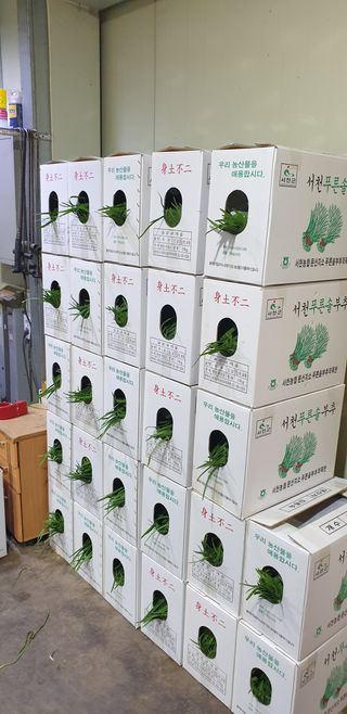 조일현님의 작성글 사진