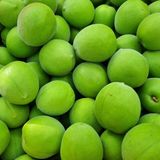 팜모닝 · 게시글 이미지