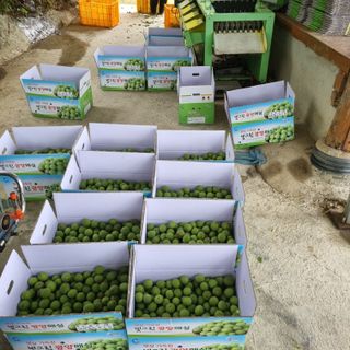 대봉매실 인생이막님의 작성글 사진