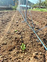 팜모닝 기타작물·자유게시판 게시글 이미지