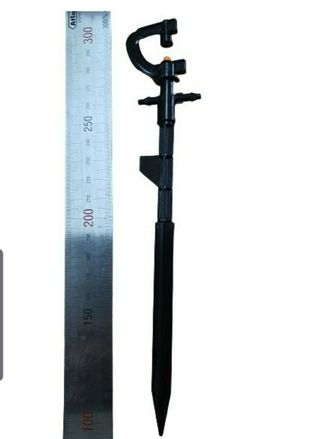 포깅농자재님의 블루베리 · 자유게시판 작성글 사진