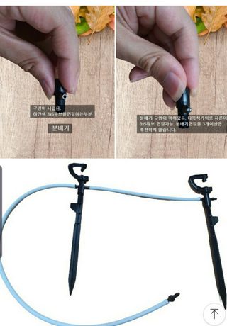 포깅농자재님의 블루베리 · 자유게시판 작성글 사진