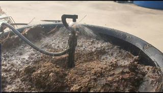 포깅농자재님의 블루베리 · 자유게시판 작성글 사진