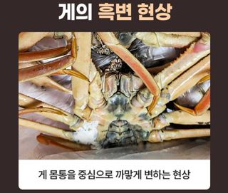 노가네수산님의 우리동네 · 동네정보 작성글 사진