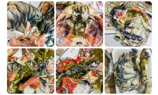 노가네수산님의 우리동네 · 동네정보 작성글 사진