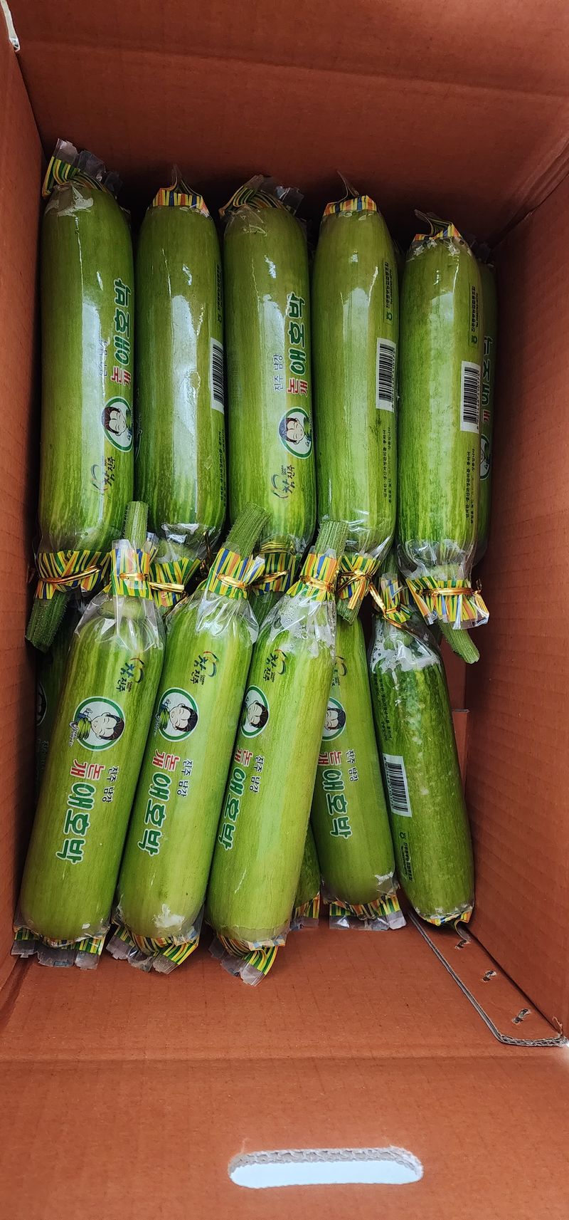 김기태님의 장터 판매 상품 [친환경 무농약 애호박B품 판매] 첨부 사진