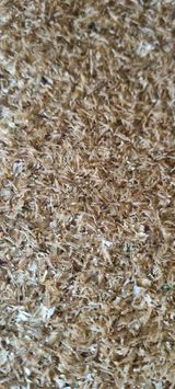 팜모닝 자유주제·사진전 게시글 이미지