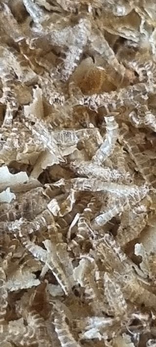 김동연님의 자유주제 · 사진전 작성글 사진