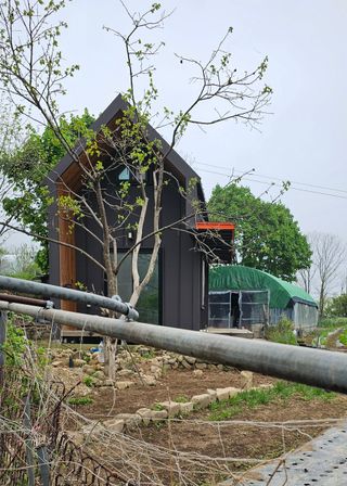 우경 김종철님의 고추 · 파종•정식 작성글 사진