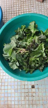 팜모닝 자유주제·자유게시판 게시글 이미지