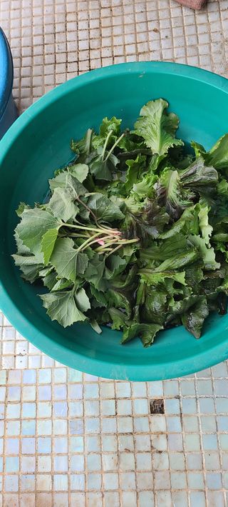 Mmebaik님의 자유주제 · 자유게시판 작성글 사진