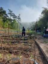 팜모닝 자유주제·칭찬해요 게시글 이미지