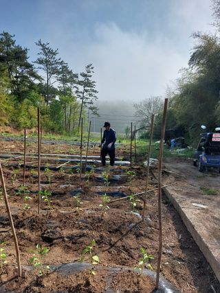 김병철님의 자유주제 · 칭찬해요 작성글 사진
