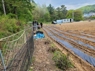 장기준님의 버섯 · 토양준비 작성글 사진