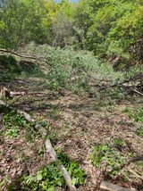 팜모닝 자유주제·자유게시판 게시글 이미지