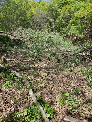 민민농원님의 자유주제 · 자유게시판 작성글 사진