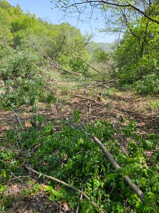 민민농원님의 자유주제 · 자유게시판 작성글 사진