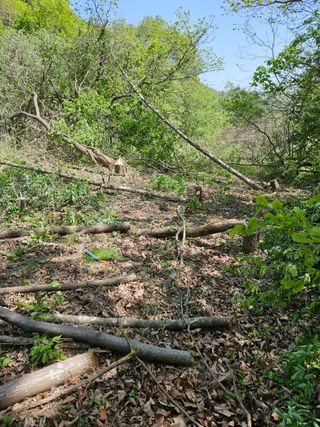 민민농원님의 자유주제 · 자유게시판 작성글 사진