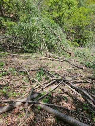 민민농원님의 자유주제 · 자유게시판 작성글 사진