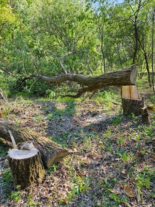민민농원님의 자유주제 · 자유게시판 작성글 사진