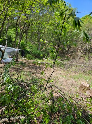 민민농원님의 자유주제 · 자유게시판 작성글 사진