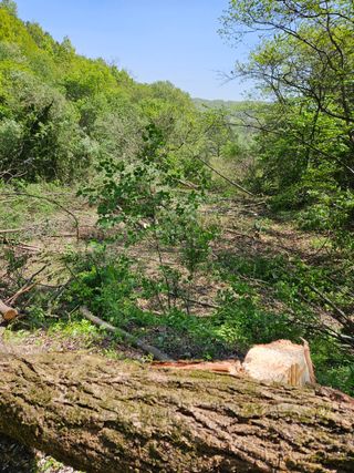 민민농원님의 자유주제 · 자유게시판 작성글 사진