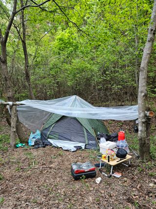 민민농원님의 자유주제 · 자유게시판 작성글 사진