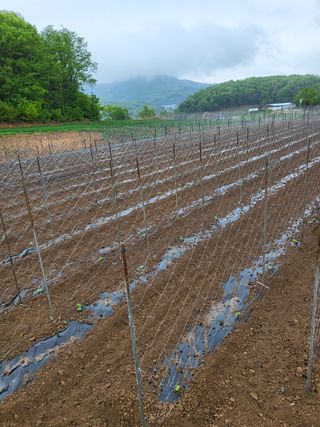 서동예님의 작성글 사진