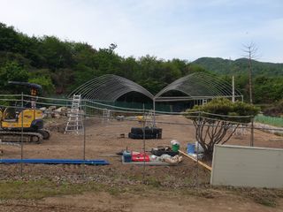 머치자연인님의 두릅 · 일상 작성글 사진