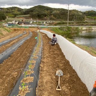 박흠님의 고추 · 일상 작성글 사진