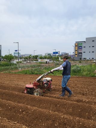 김농부님의 장터이야기 · 자유게시판 작성글 사진