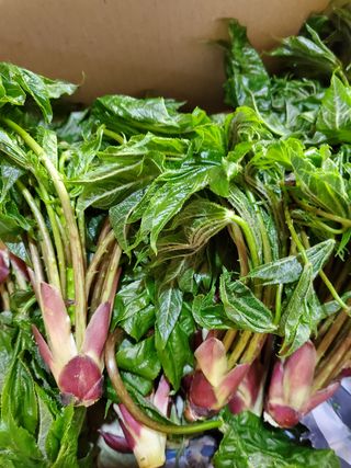 배추5999님의 작성글 사진