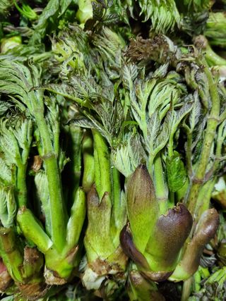 배추5999님의 작성글 사진