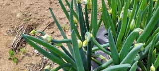 채경희님의 자유주제 · 사진전 작성글 사진