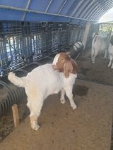 팜모닝 자유주제·칭찬해요 게시글 이미지