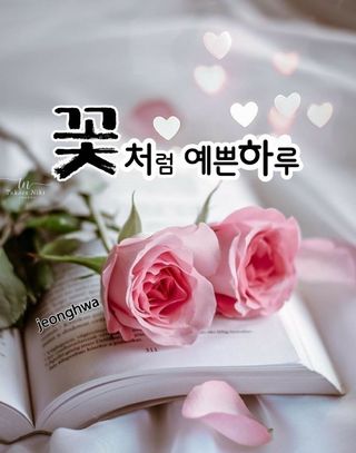 해뜨는농원/강혜광님의 들깨 · 자유게시판 작성글 사진
