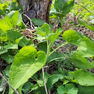 농부쑤니님의 우리동네 · 동네질문 작성글 사진