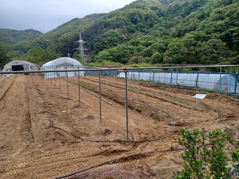 장터 상품 [포도나무 지주대 이중파이프 까치발 중방대 중방파이프  중방보받침대  저렴하게 파실분 연락  010-8906-1200] 썸네일