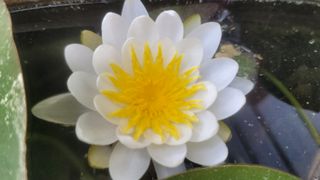 나산 블루베리농원님의 자유주제 · 자유게시판 작성글 사진