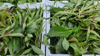 조병대님의 기타작물 · 자유게시판 작성글 사진