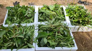 조병대님의 기타작물 · 자유게시판 작성글 사진