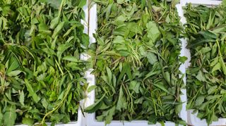 조병대님의 기타작물 · 자유게시판 작성글 사진