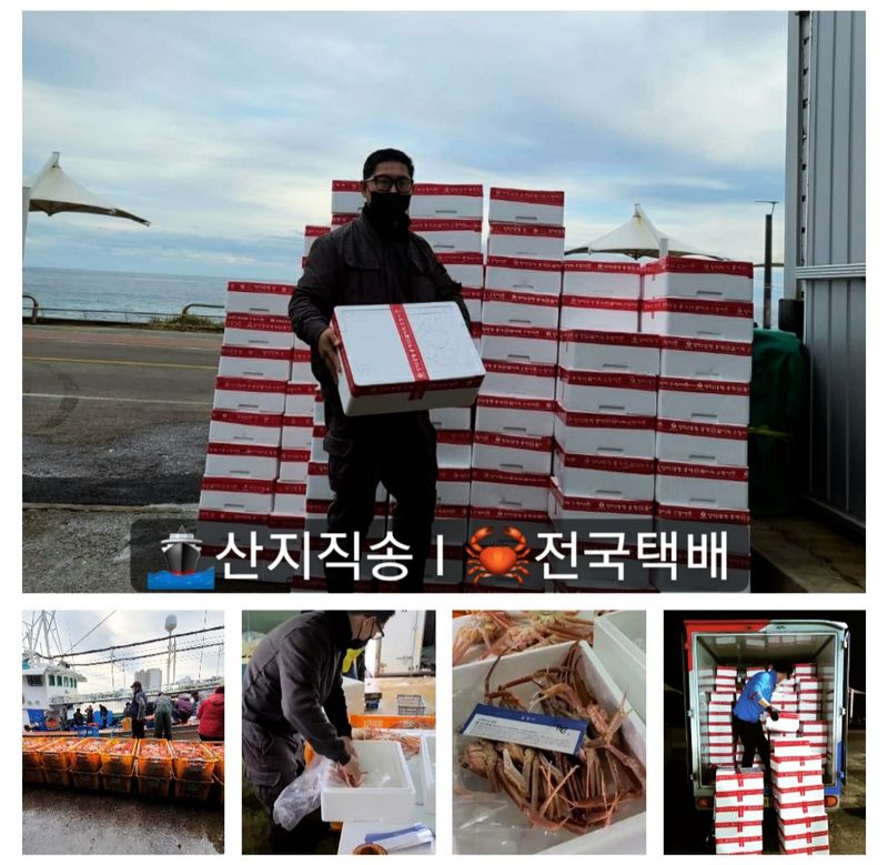 노가네수산님의 장터 판매 상품 [강구항 홍게 영덕대게 박달홍게 후포리] 첨부 사진