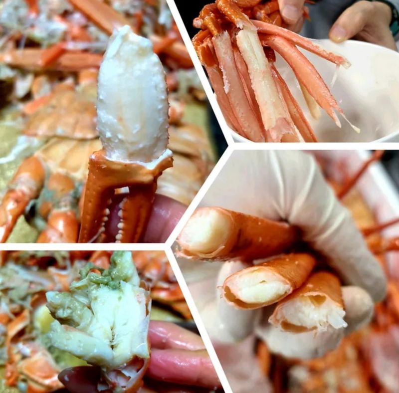 노가네수산님의 장터 판매 상품 [강구항 홍게 영덕대게 박달홍게 후포리] 첨부 사진