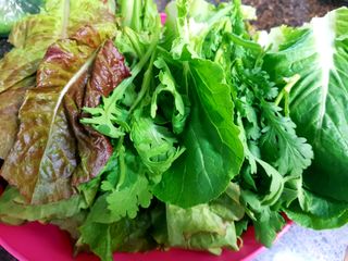 정주님의 장터이야기 · 자유게시판 작성글 사진